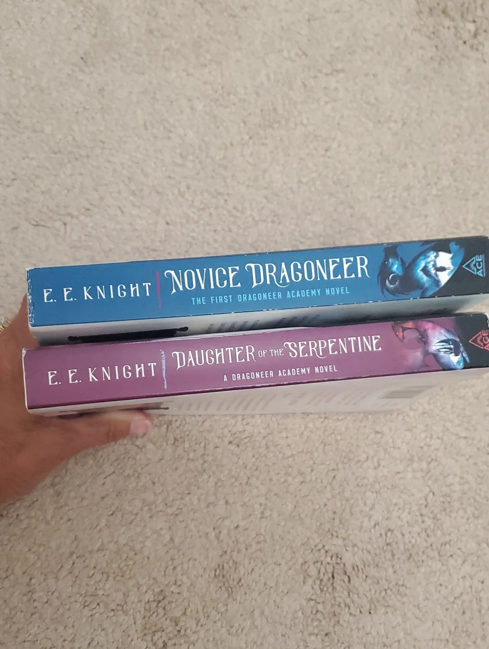 Dragoneer Academy Novels